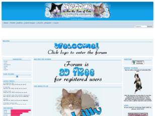 For The Love of Cats